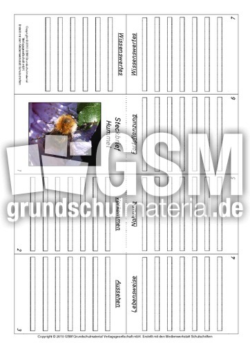 Faltbuch-Hummel.pdf